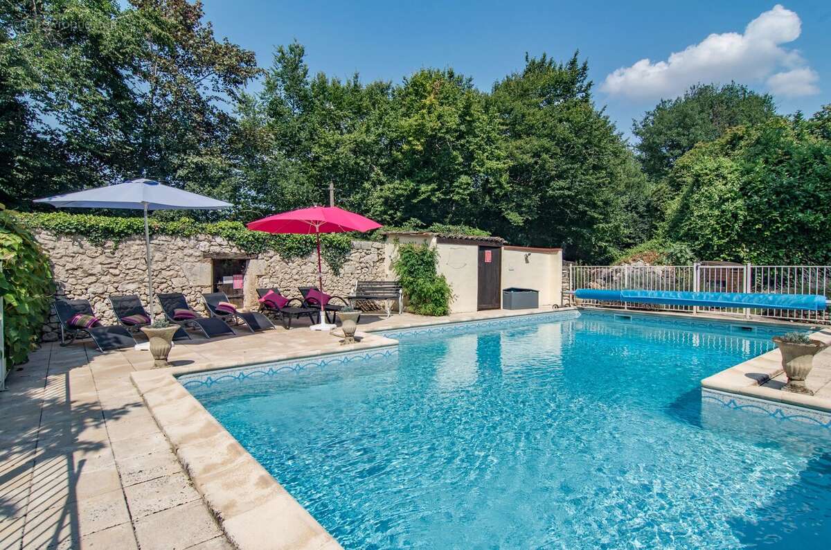 Château à 10 minutes de Bergerac avec maison d'amis et de gardien, piscine, tennis et dépendances - photo 3
