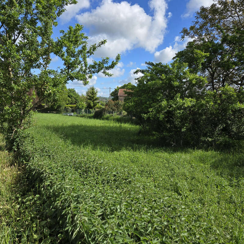 Terrain à TANTONVILLE