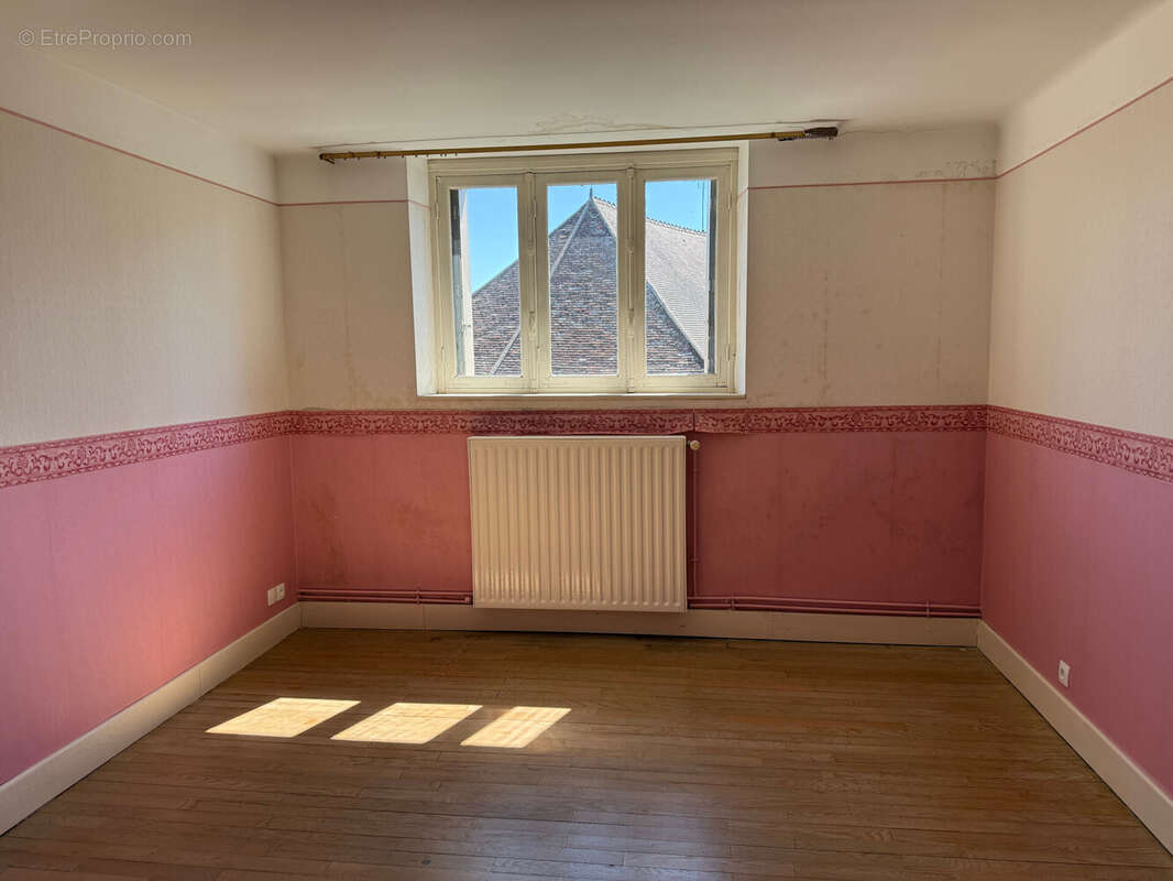 Maison 205 m² à La Chatre  - photo 6