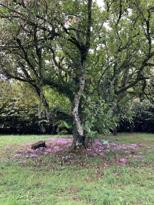 Maison à NOUZERINES