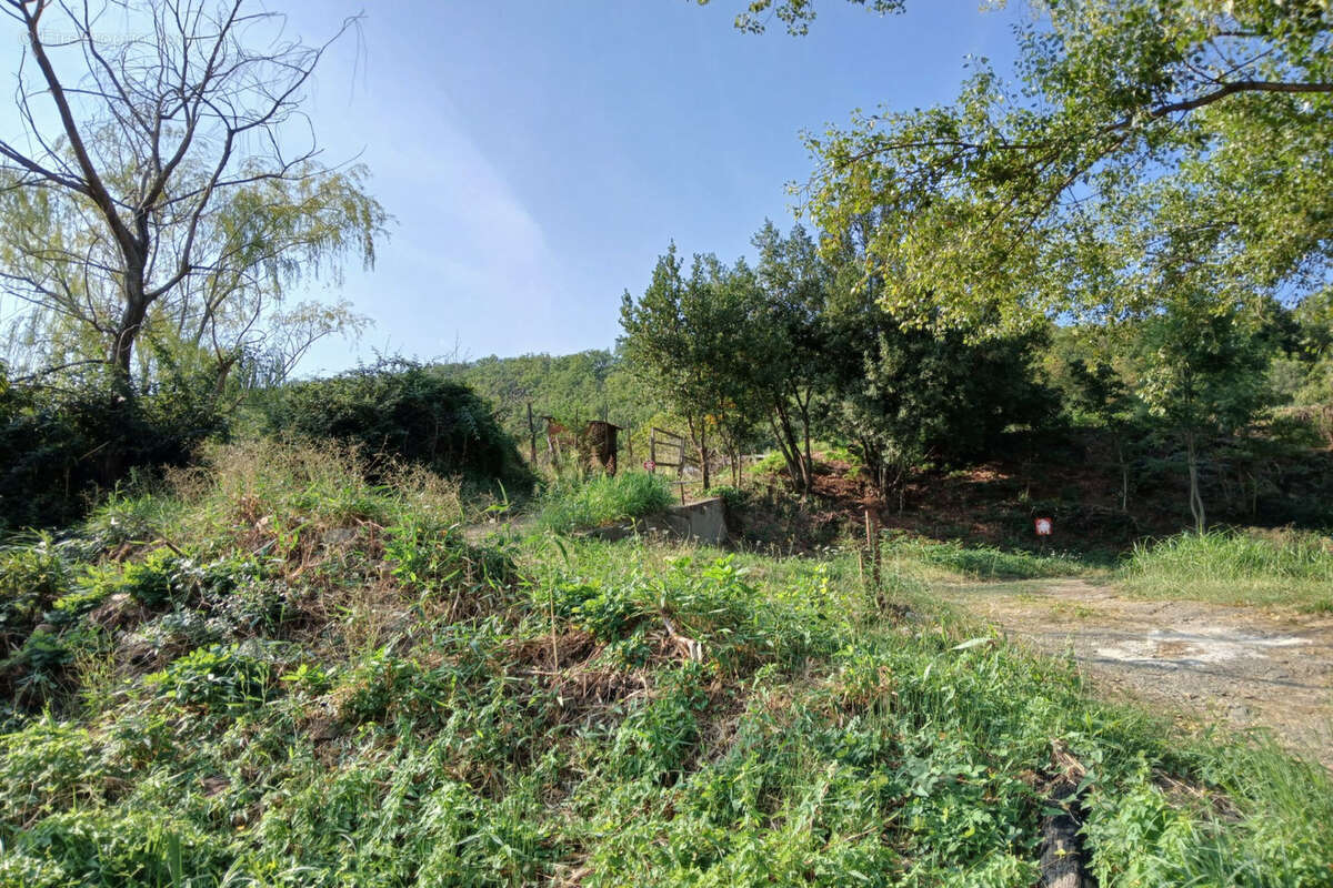Terrain à REYNES