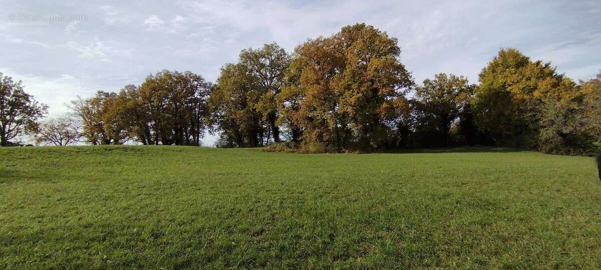 Grange en pierre de 360 m² à rénover ! - photo 8