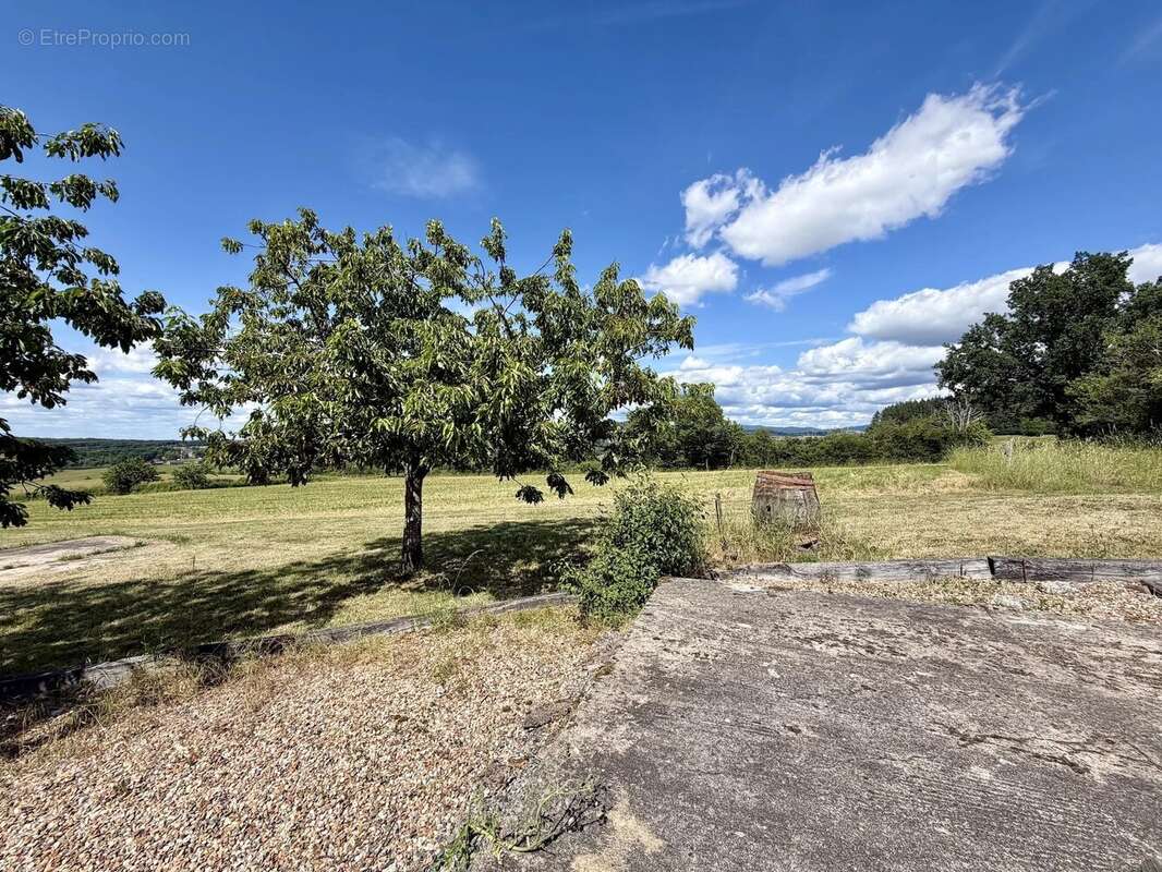 Grand ensemble, entièrement isolé avec 1,4 hectare à vendre près de Remilly - photo 50
