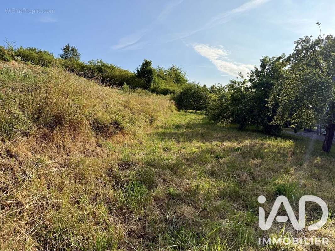 Terrain 1707 m² à Illfurth  - photo 3