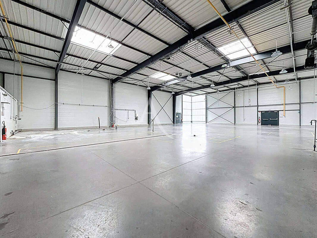 Commerce à BRISSAC-QUINCE