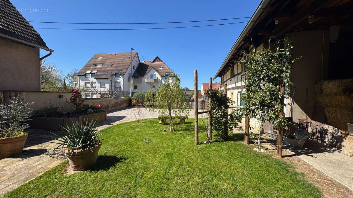 Maison à LA WANTZENAU