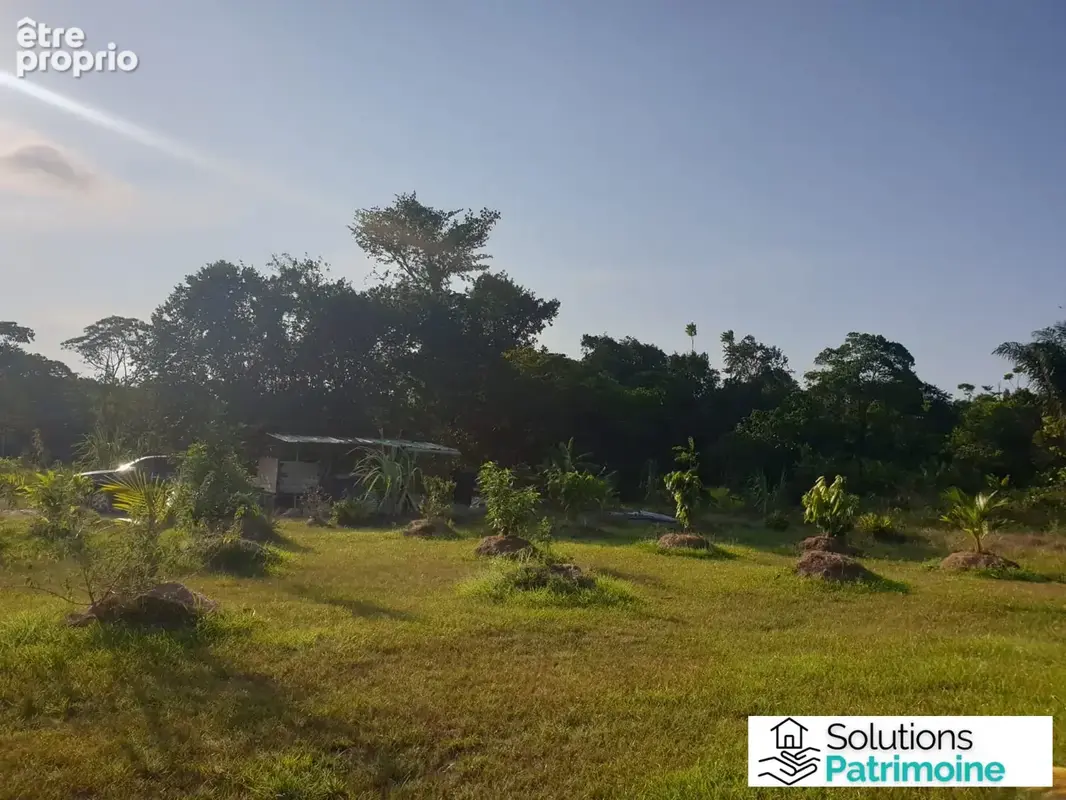 Terrain à vendre à Roura (97311) - photo 6
