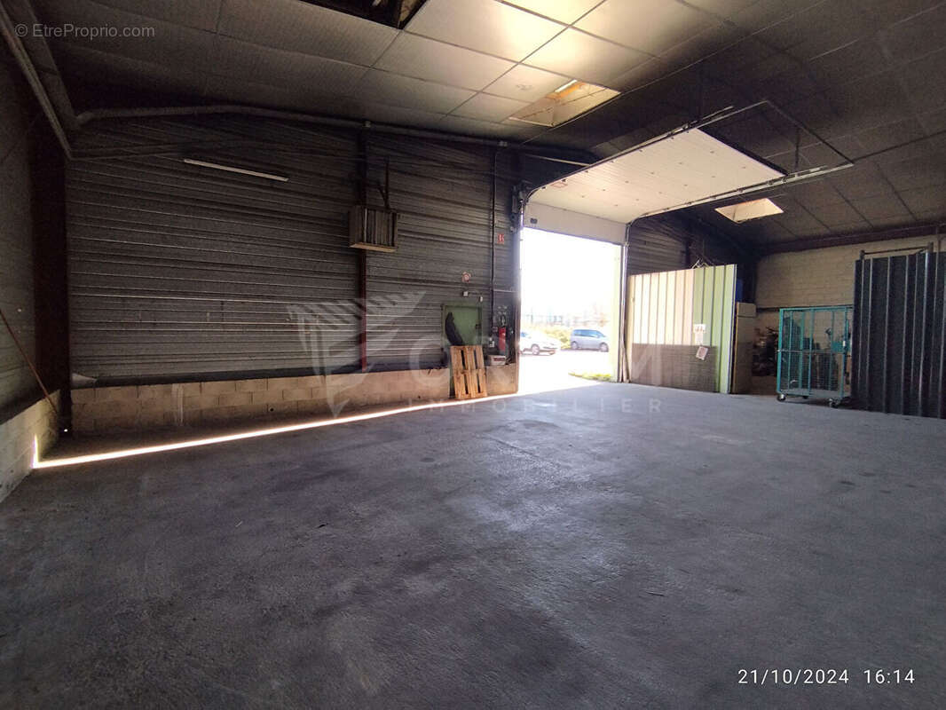 Commerce à APPOIGNY