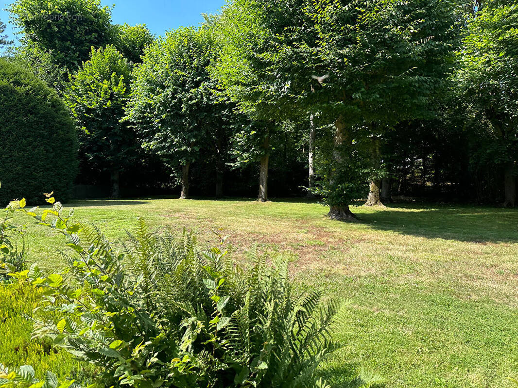 Terrain à LA CELLE-SAINT-CLOUD