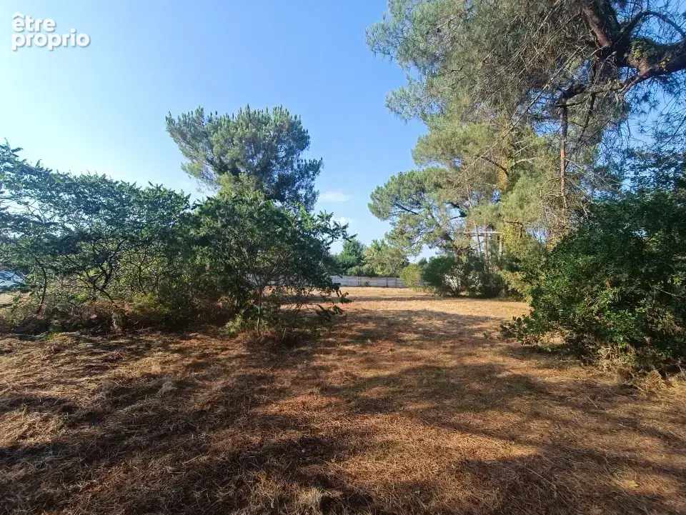 Terrain 950 m² à Martillac  - photo 3