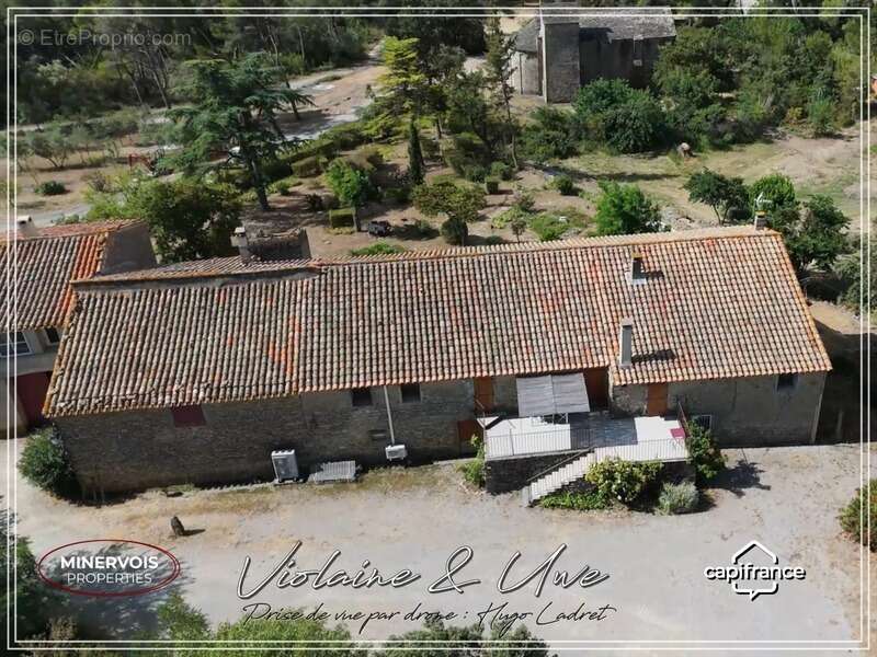 Domaine viticole d'exception de 47 hectares avec mas en pierre, gîtes et vignoble AOC Minervois – Hérault - photo 15