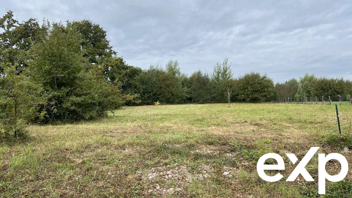 Terrain à SAINT-ETIENNE-EN-BRESSE