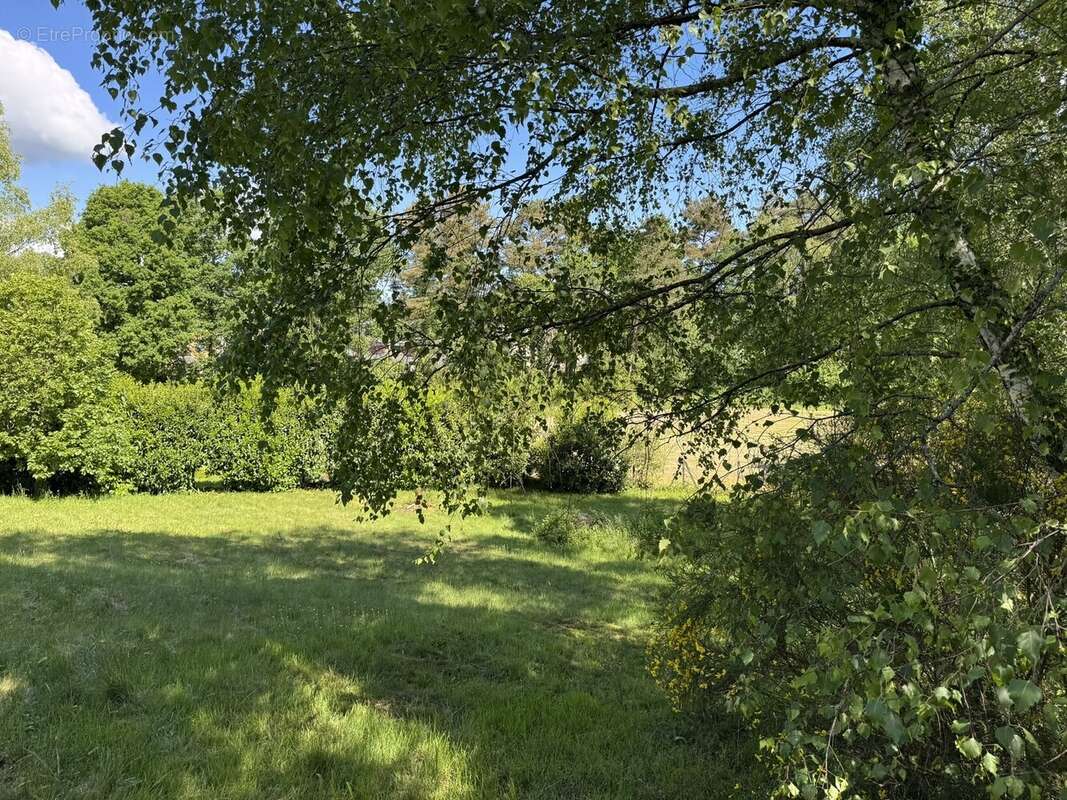 Terrain à SAINT-PRIEST-DE-GIMEL