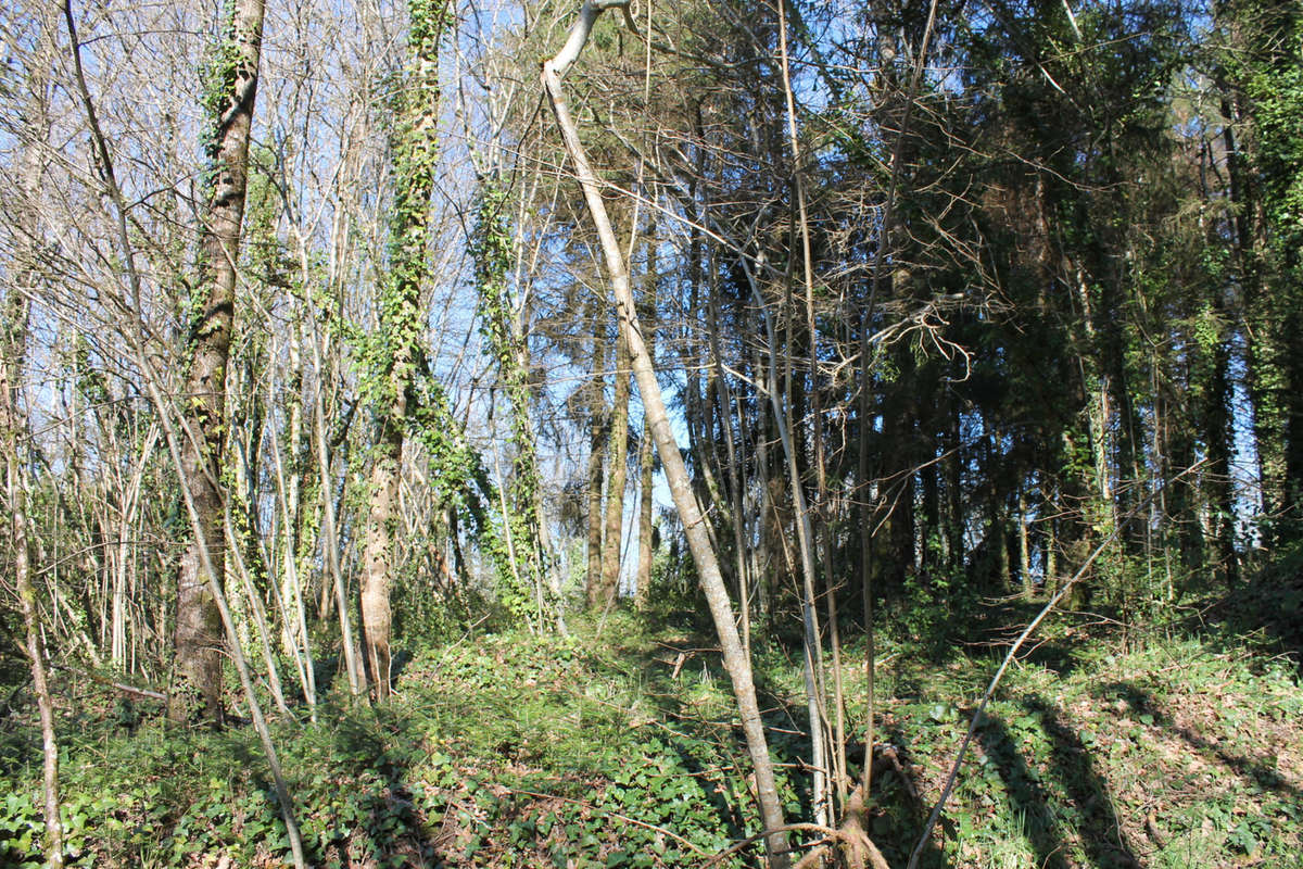 Terrain à SAINT-PRIEST-LES-FOUGERES