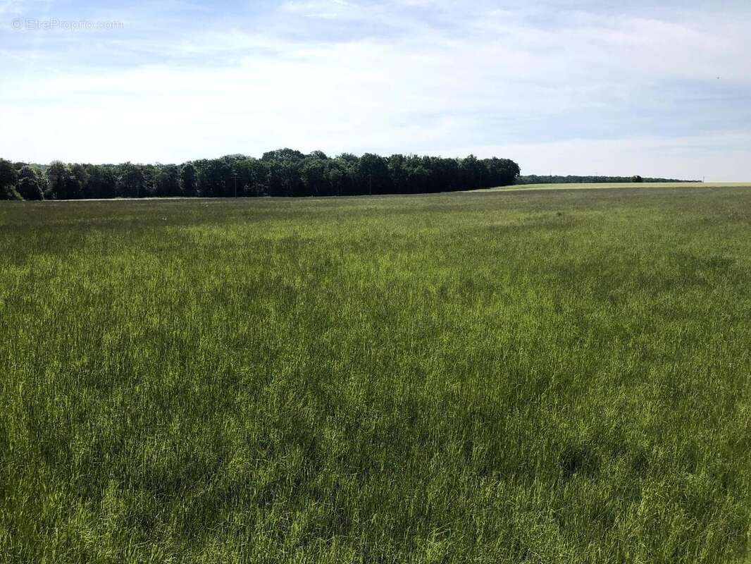 Photo 8 - Maison à MONTIGNY-SUR-AVRE