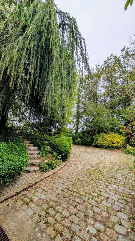 espace télé,salon cheminée,séjour  - Maison à HILLION