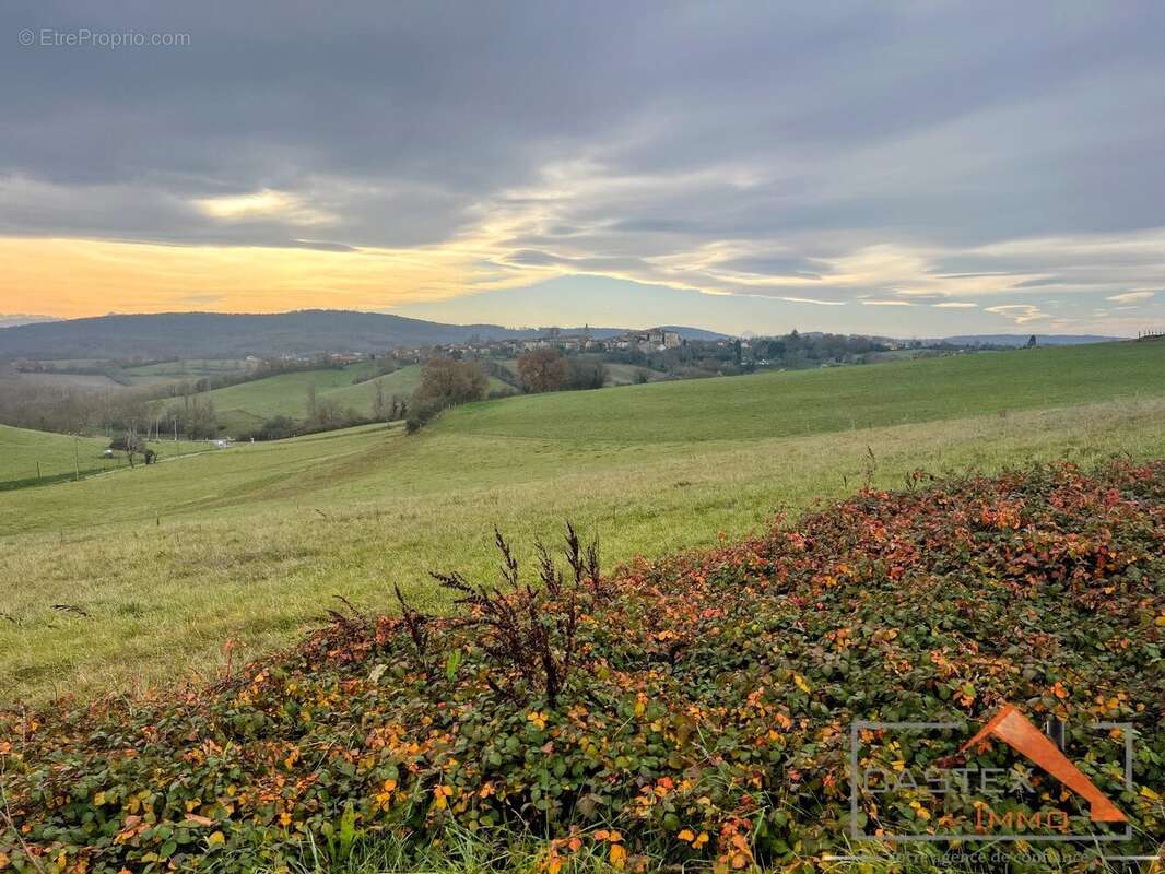 Terrain à MARTRES-TOLOSANE