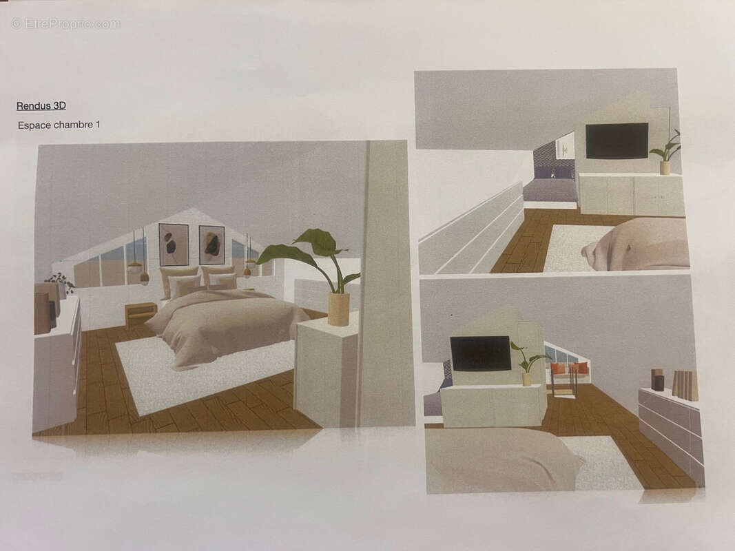 Havre de Paix-Propriété en Italie - A 15 minutes de Vintimille- Maison dans une Oliveraie de 8000m2-Potentiel - photo 18