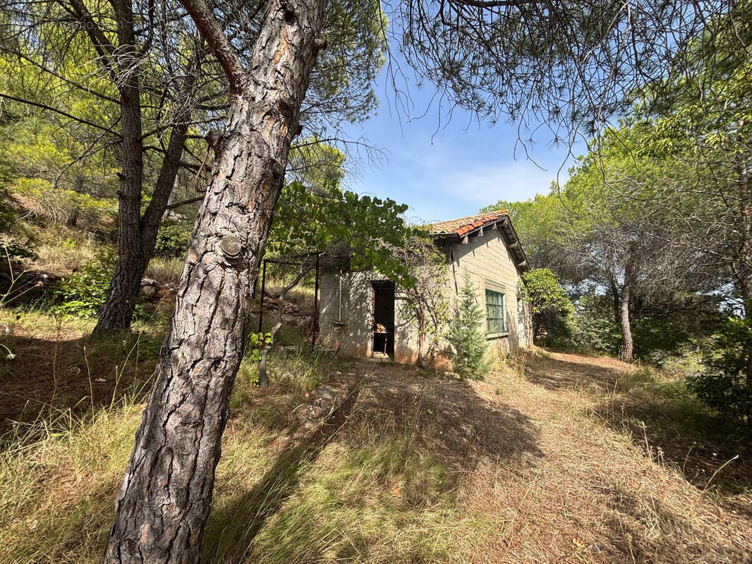 Terrain à PUISSERGUIER