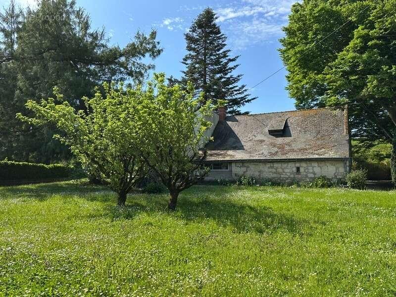 VARENNES SUR LOIRE, Longère 3 chambres sur jardin de 1280m² - photo 3