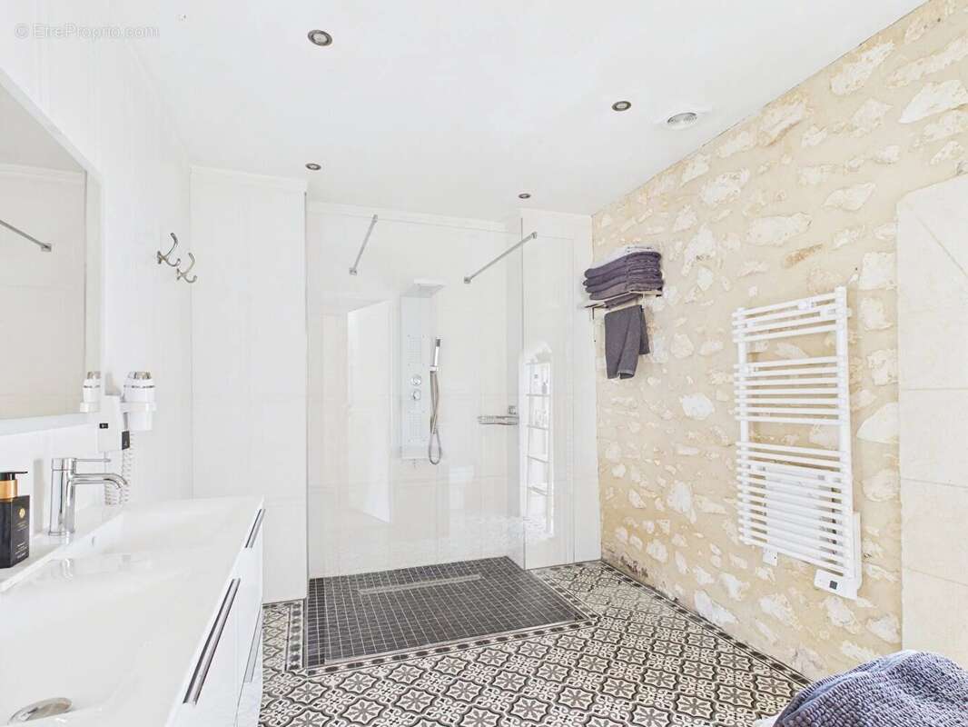 A Vendre : Mas en pierre avec piscine à Molleges - photo 21