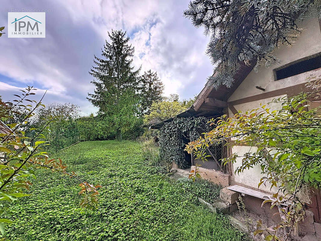 Maison à WESTHOFFEN