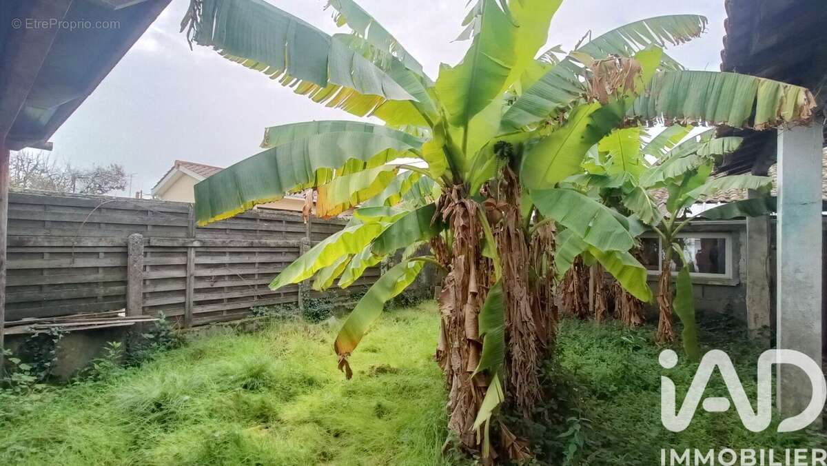 Photo 5 - Maison à CASTELNAU-DE-MEDOC
