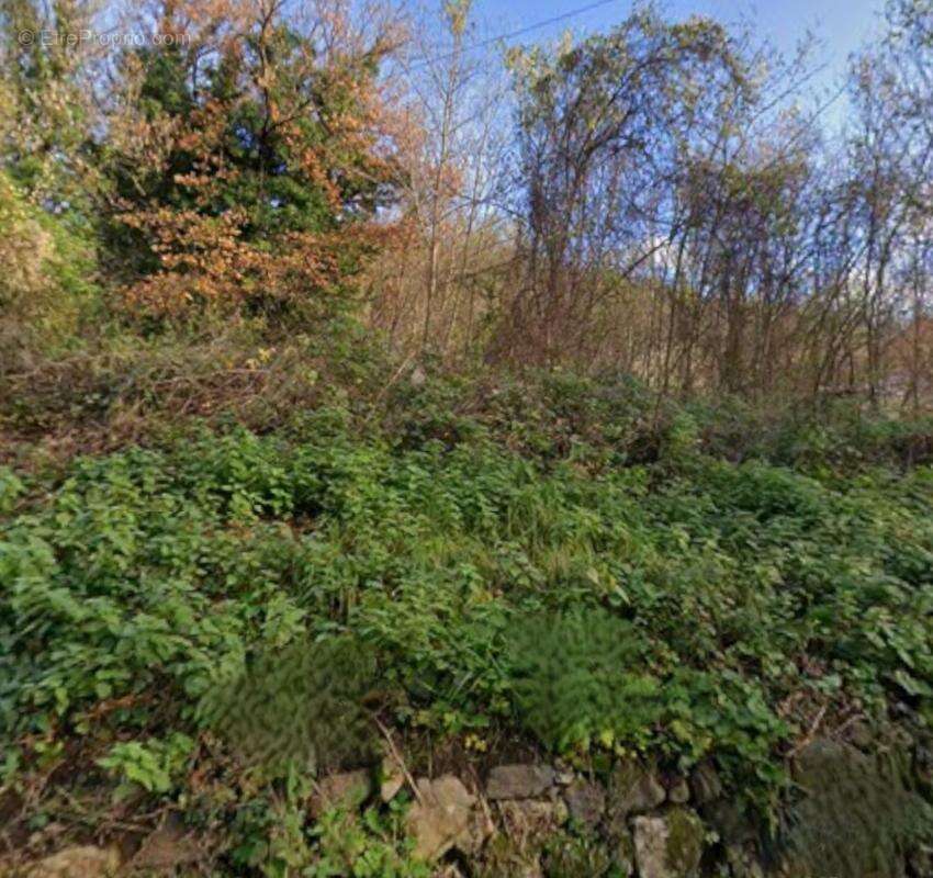 Terrain à vendre de 1030  DIO ET VALQUIERES (34) - photo 2