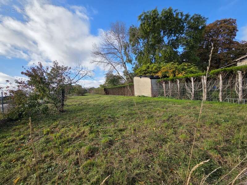 Terrain à ANGERVILLE
