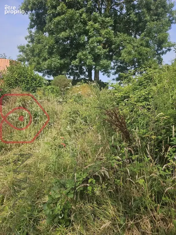 Ensemble immobilier et foncier de plus de 8 000 m²  Maison à réhabiliter & Terrain constructible et terrain agricole a 5 mns de - photo 4