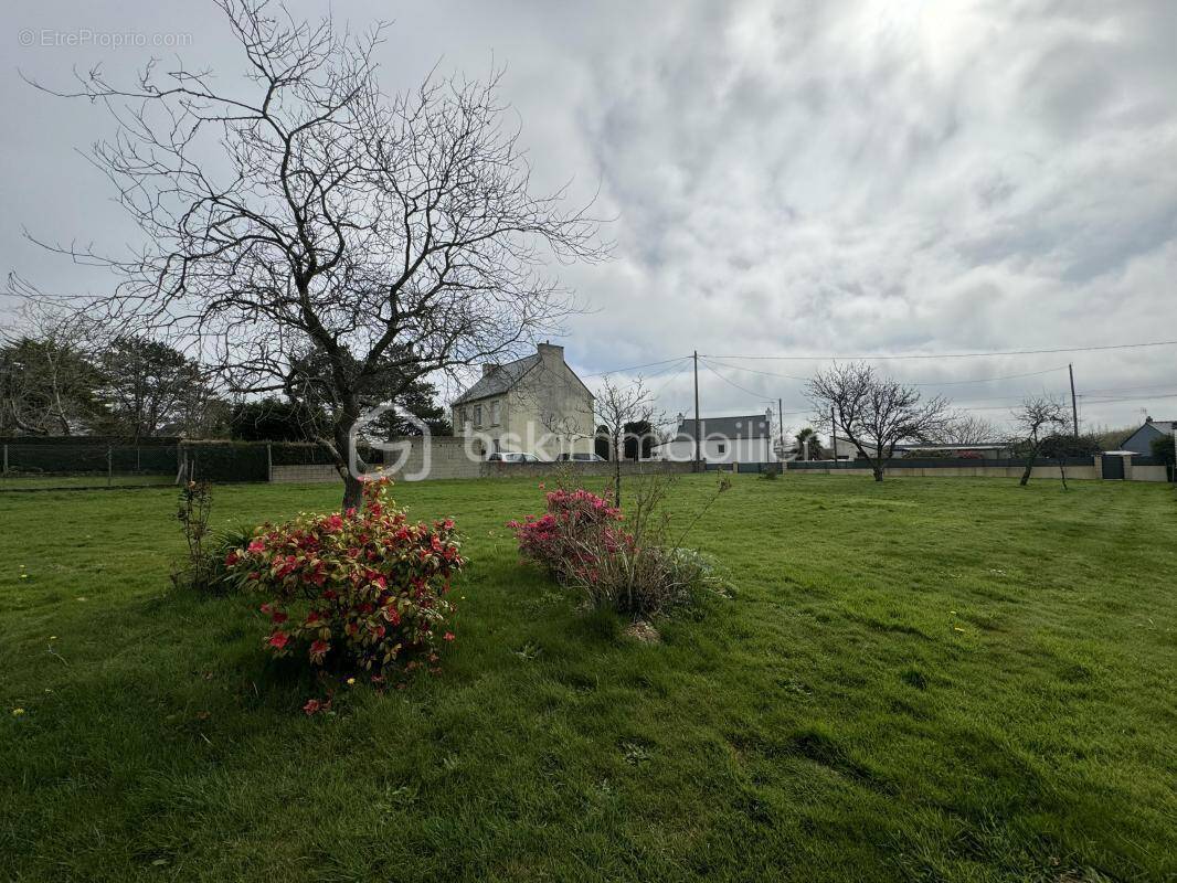 Terrain à PLOMODIERN