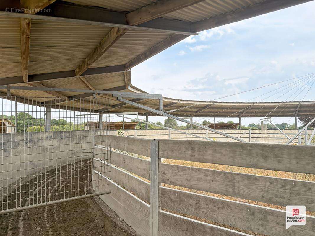 Propriété equestre Erdre En Anjou 7 pièce(s) 169 m2 - photo 5