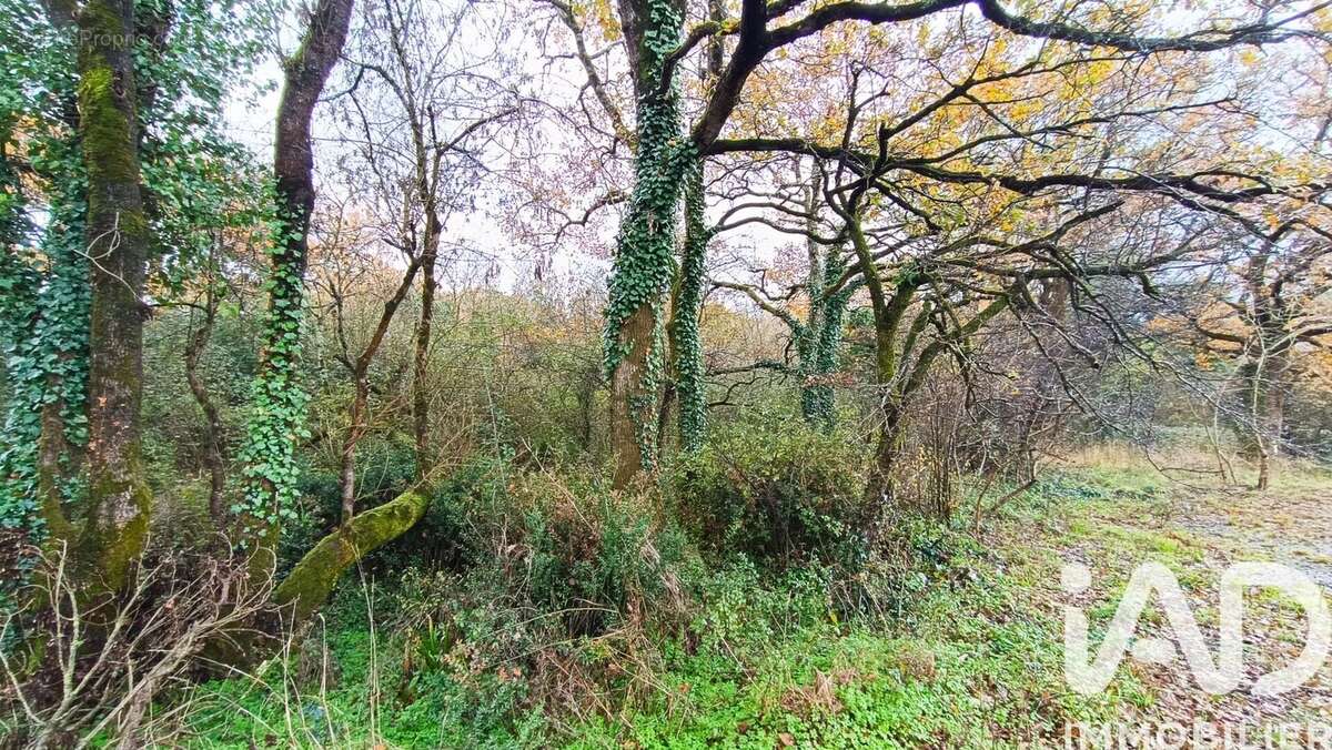 Photo 2 - Terrain à LES SORINIERES