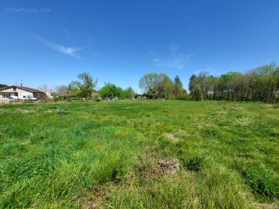 Terrain 1000 m² à Vacquiers  - photo 2
