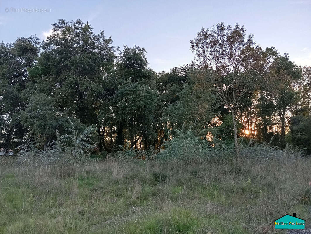 Terrain à SAINT-JEAN-DE-MONTS