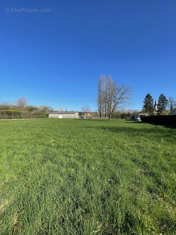 Terrain à HIRTZBACH