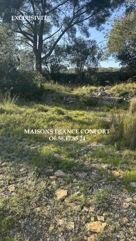 Terrain 630 m² à La Ciotat  - photo 2