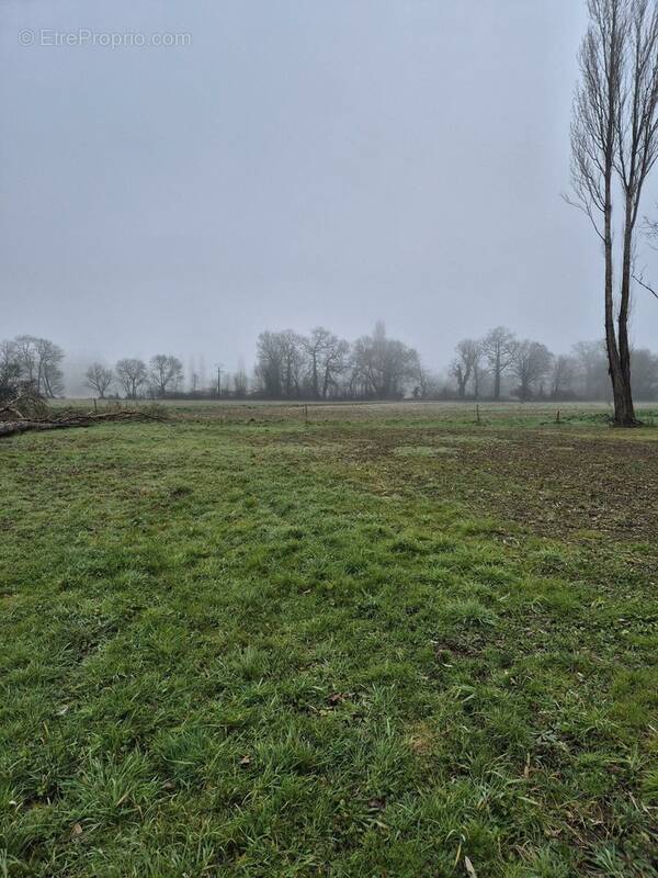 Terrain à LESMONT