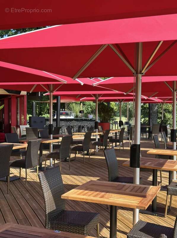 Commerce à CHATENOY-EN-BRESSE