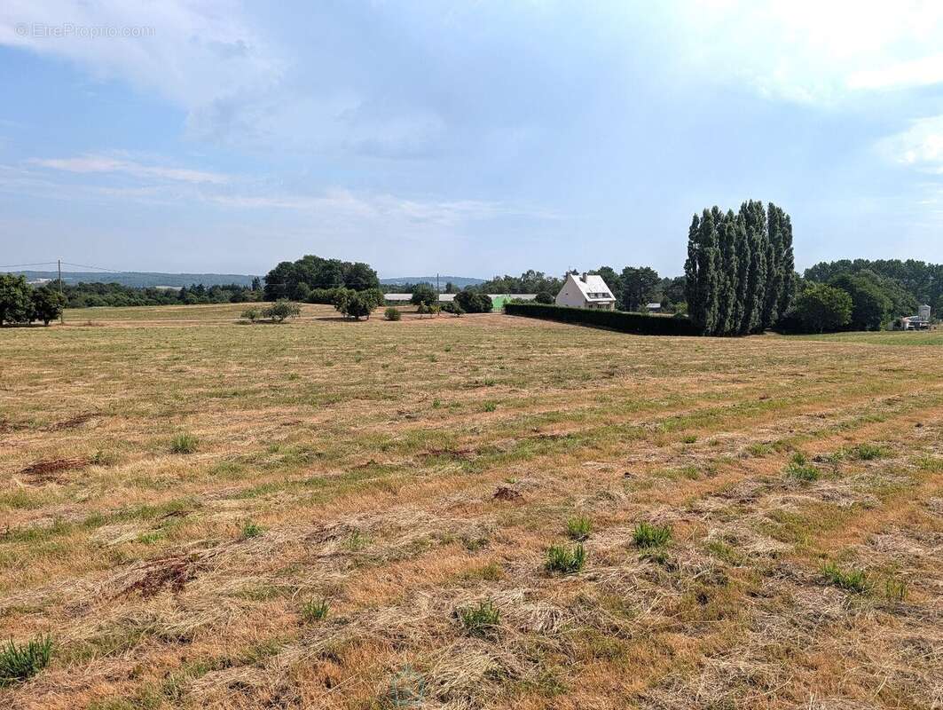 Propriété sur 27 hectares, maison 179 m2, bâtiments de 700 m2 salle de réception et 600 m2 garage - photo 27
