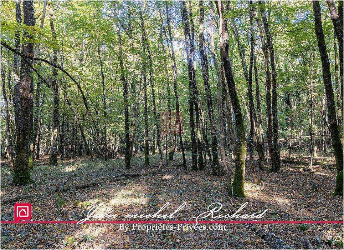 Terrain à GY-EN-SOLOGNE