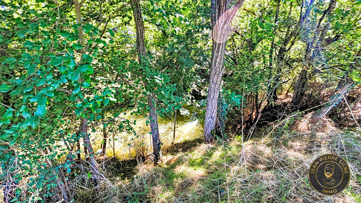 Magnifique terrain de 18 331 m2  dont  2 860 m2 constructibles - photo 5