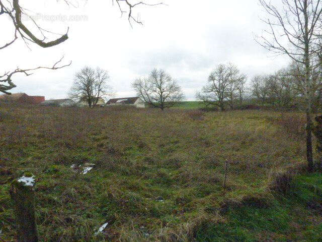 Terrain à BLAMONT