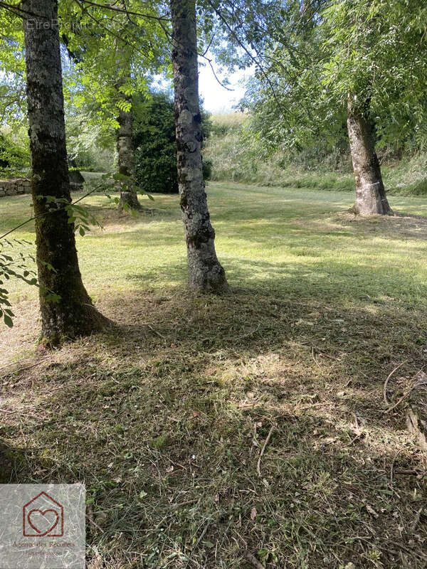 Terrain de loisir avec eau électricité - photo 4