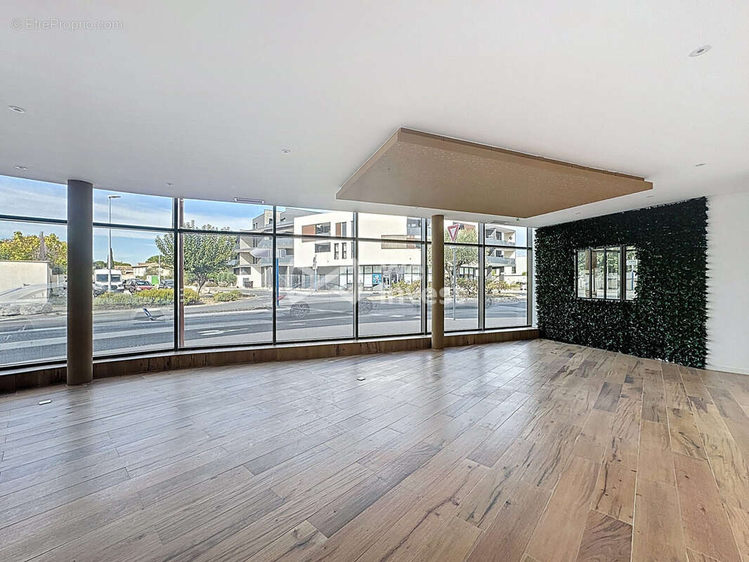 Commerce à BAILLARGUES