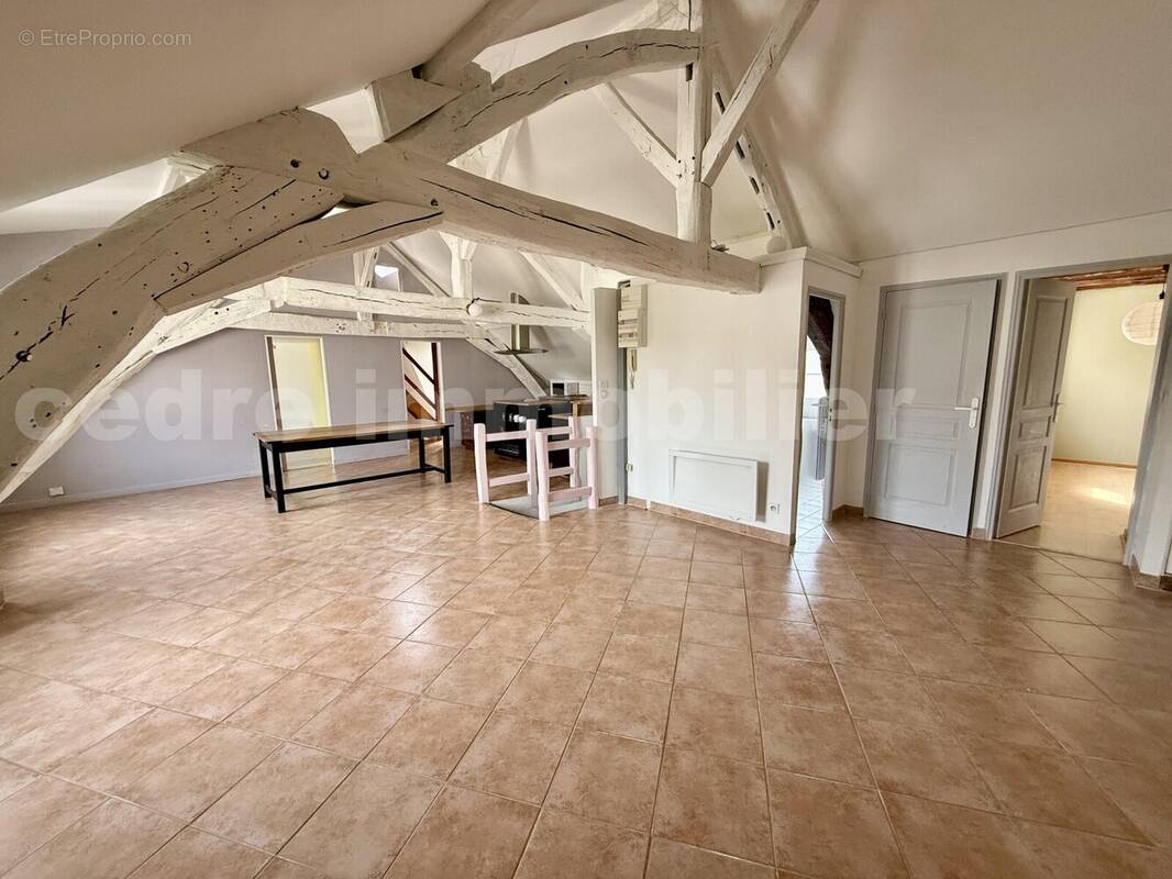 IMG_1080 - Appartement à OLIVET