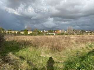 Terrain à POUZOLLES