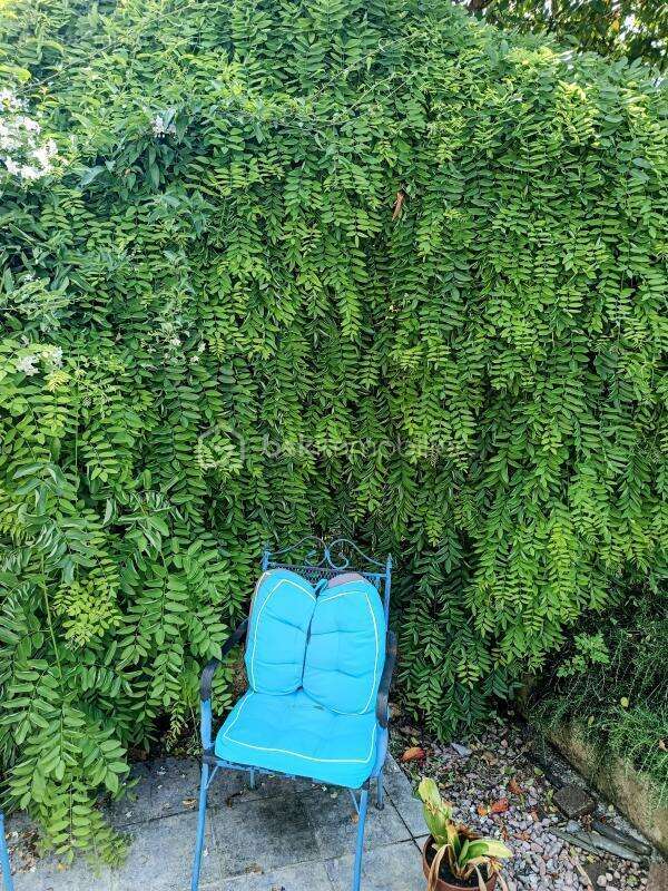 Maison à SAINT-JEAN