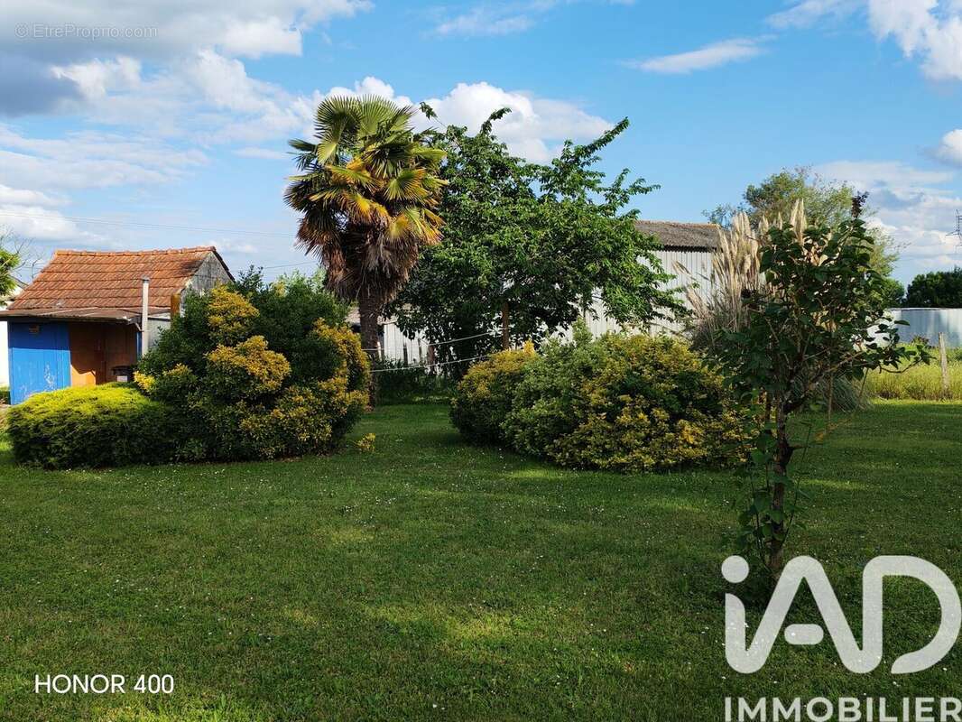 Photo 6 - Maison à VARENNES-SUR-LOIRE