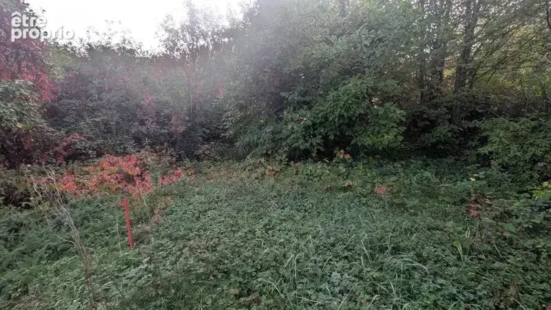 Terrain de 0 pièces principales - photo 2